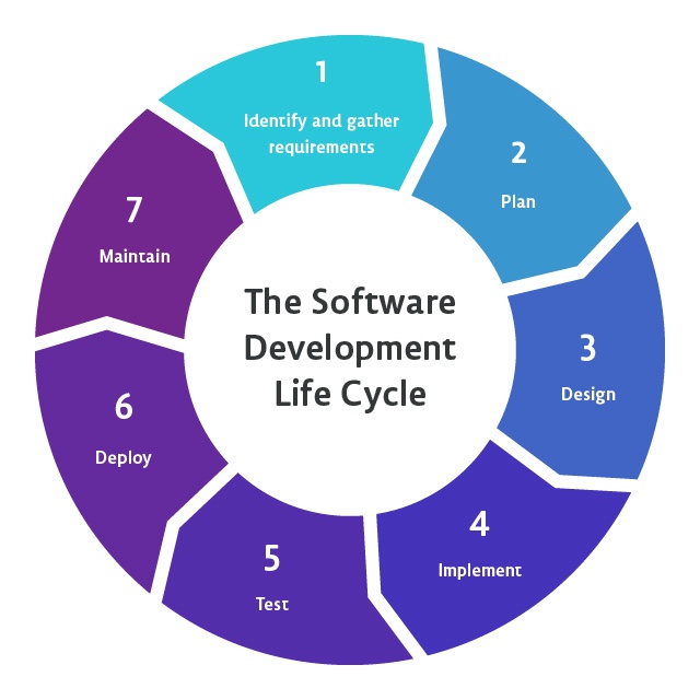 Unlock the Potential of the Software Development Life Cycle | Bitbean